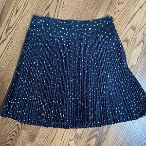Ann Taylor Pleated Skirt